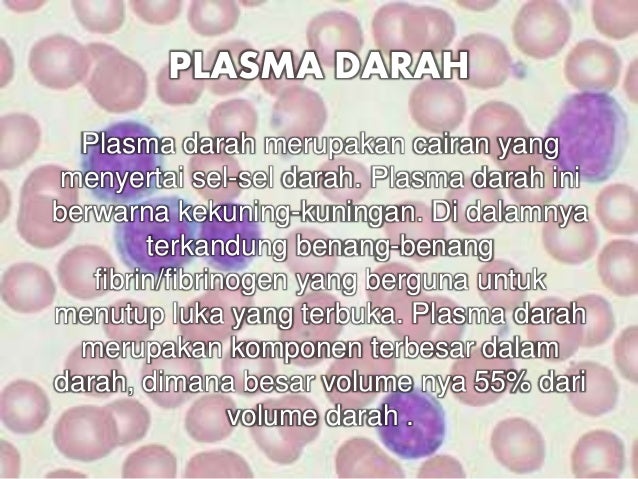 Ciri Plasma Darah
